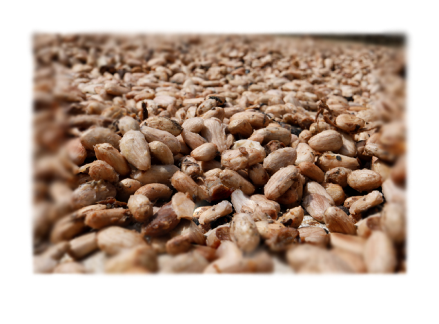 Resolve global agro-allide farms